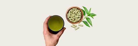 Gyokuro l theanine - Teas Secret Cheat Code Explained