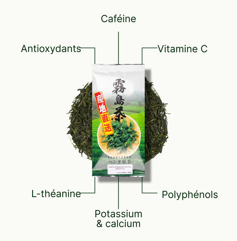 6ad63e288dc35_nio-teas-henta-sencha-saemidori-nutritional-benefits_17f44830-c235-4fc2-b280-f63832e4171c_fr.webp