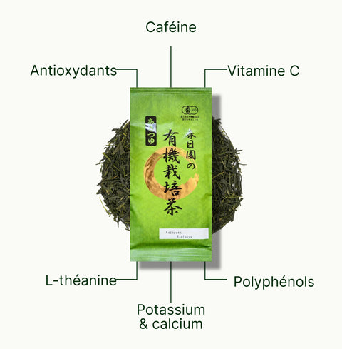 6ad63e2d8871b_nio-teas-sencha-kasugaen-asatsuyu-nutritional-benefits_5a13b7c2-6198-469c-ab50-b359dc13fb79_fr.webp
