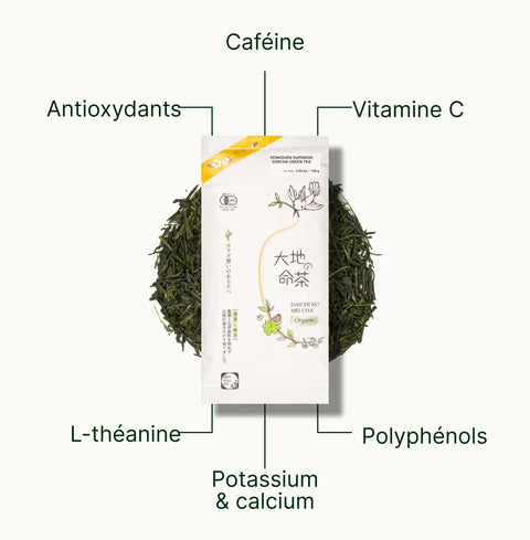 6ad63e31e22a3_nio-teas-sencha-superior-zenkouen-nutritional-benefits_401b842e-58e5-4783-882b-bb1b8a345fc9_fr.webp