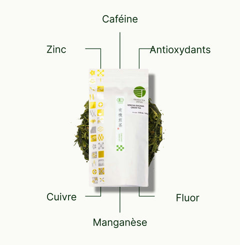 6ad63e3ee6e08_nio-teas-osada-japanese-kukicha-tea-nutritional-benefits_e98f5b7d-cd23-4e20-9a36-2da762c9cb3e_fr.webp