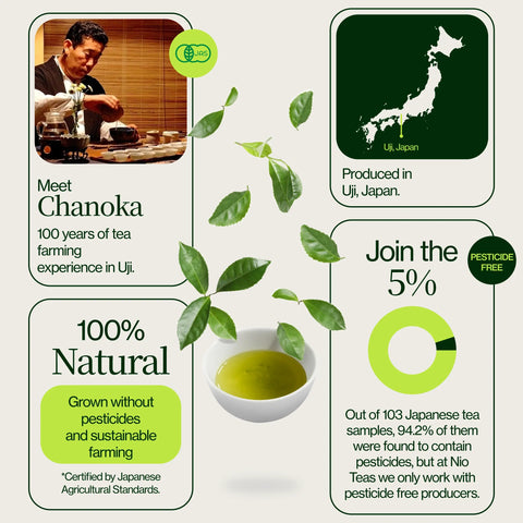 Chanoka Kamairicha Losse groene thee