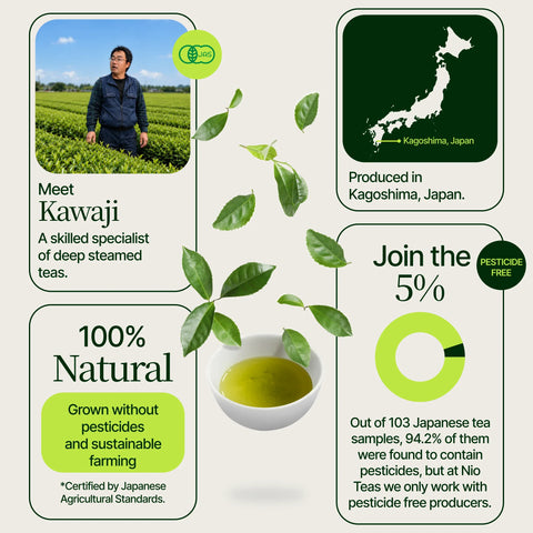 Gouden Sencha Yabukita Kasugaen