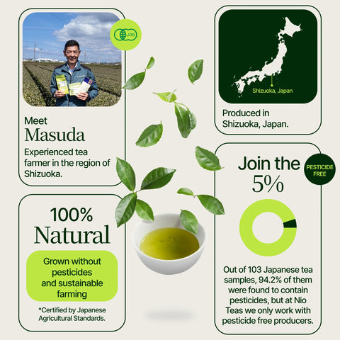 Genmaicha Popcorn Groene Thee