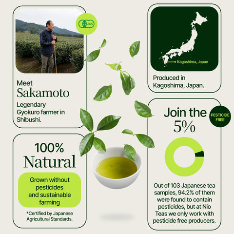 Gyokuro Zen Sakamoto