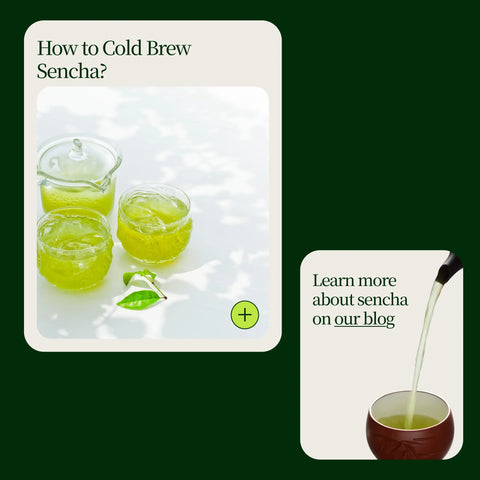 Thé vert Sencha Okumidori