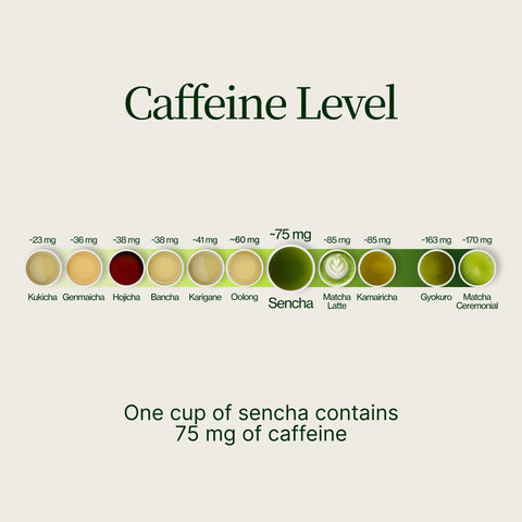 Henta Sencha Saemidori
