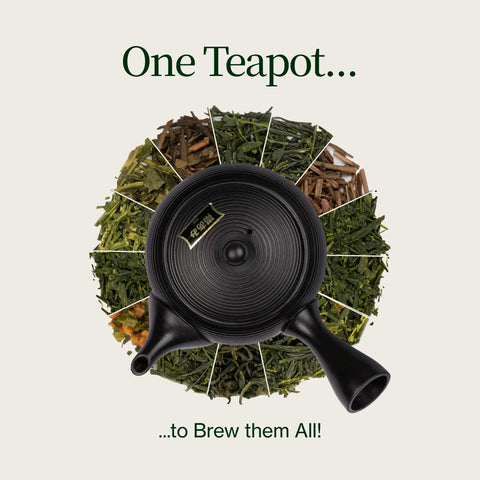 Tokoname Kyusu Fukamushi theepot