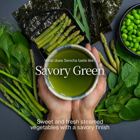 Thé vert Sencha Okumidori