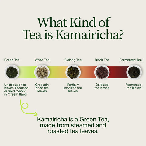 Chanoka Kamairicha Losse groene thee