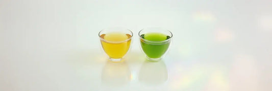 Comparison of Sencha vs Green Tea by a Tea Sommelier