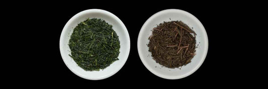 sencha vs hojicha