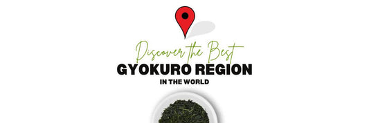 best Gyokuro regio