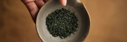 gyokuro tea in shiboridashi