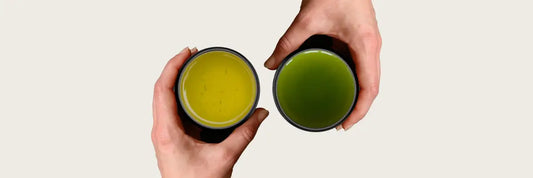 gyokuro vs sencha teas
