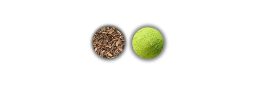 hojicha vs matcha