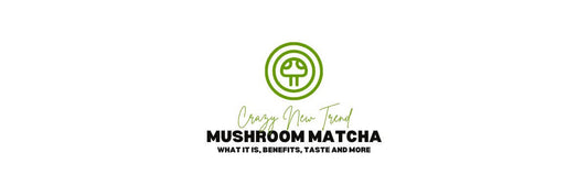 mushroom matcha blogbanner met de nieuwe trend mushroom matcha, wat het is, de voordelen, de smaak en meer