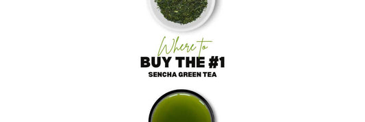 waar te koop Sencha thee