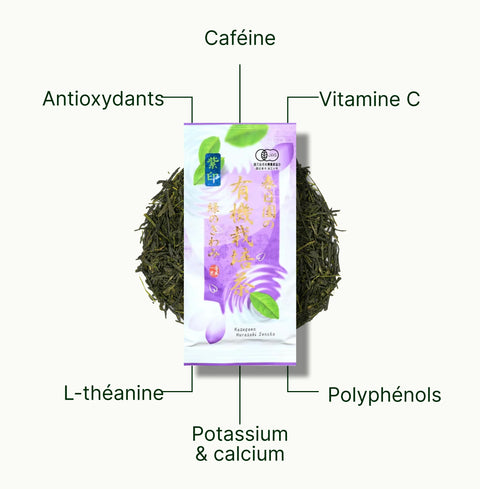 6ad63e1ec86ee_nio-teas-fukamushi-sencha-kagoshima-murasaki-nutritional-benefits_b8accd4b-b315-4446-8079-fc8ea2b328c4_fr.webp