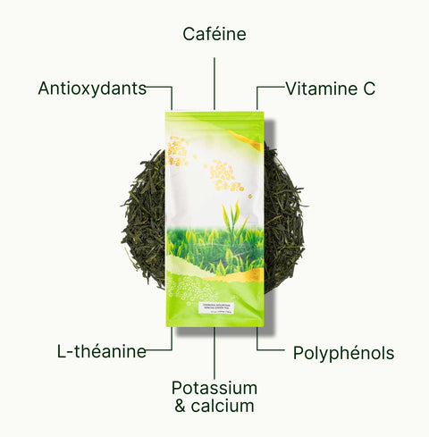 6ad63e329ffc2_nio-teas-chanoka-mountain-sencha-nutritional-benefits_714ba326-ee2a-43e5-ae54-55c0cd264a27_fr.webp