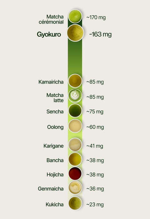 6ad63ebadfe40_caffeine_chart_gyokuro_fr.webp