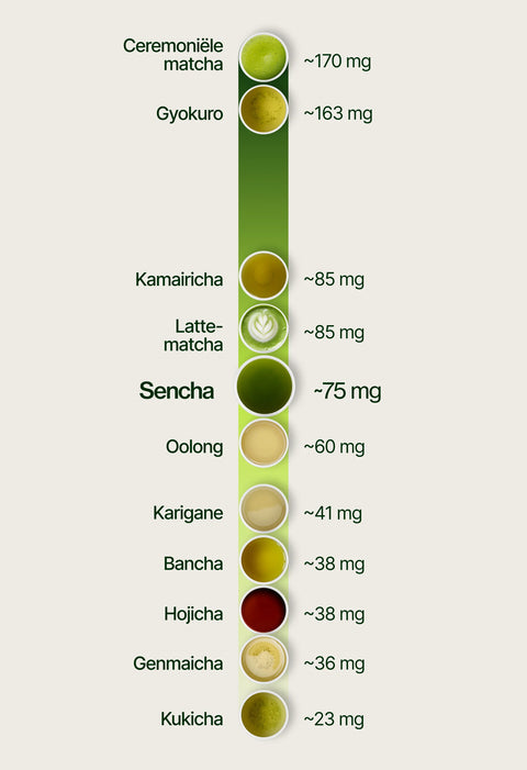 6ad769729284b_caffeine_chart_sencha_nl.webp