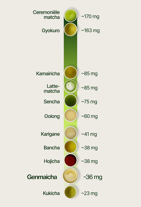 6ad76975e0f8f_caffeine_chart_genmaicha_nl.webp