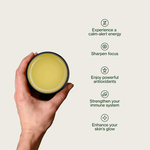 Chanoka -berg Sencha