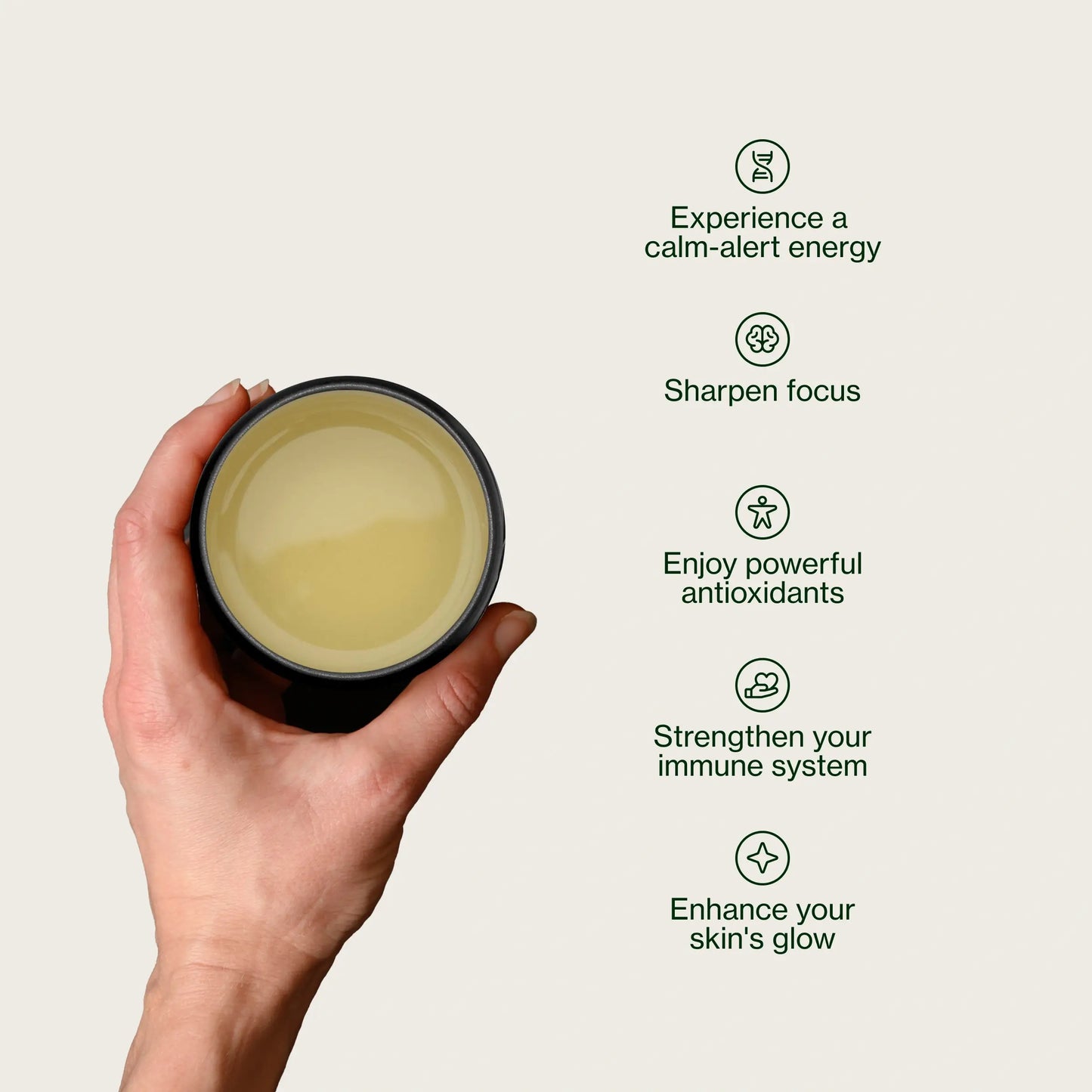 Gouden Sencha Yabukita Kasugaen