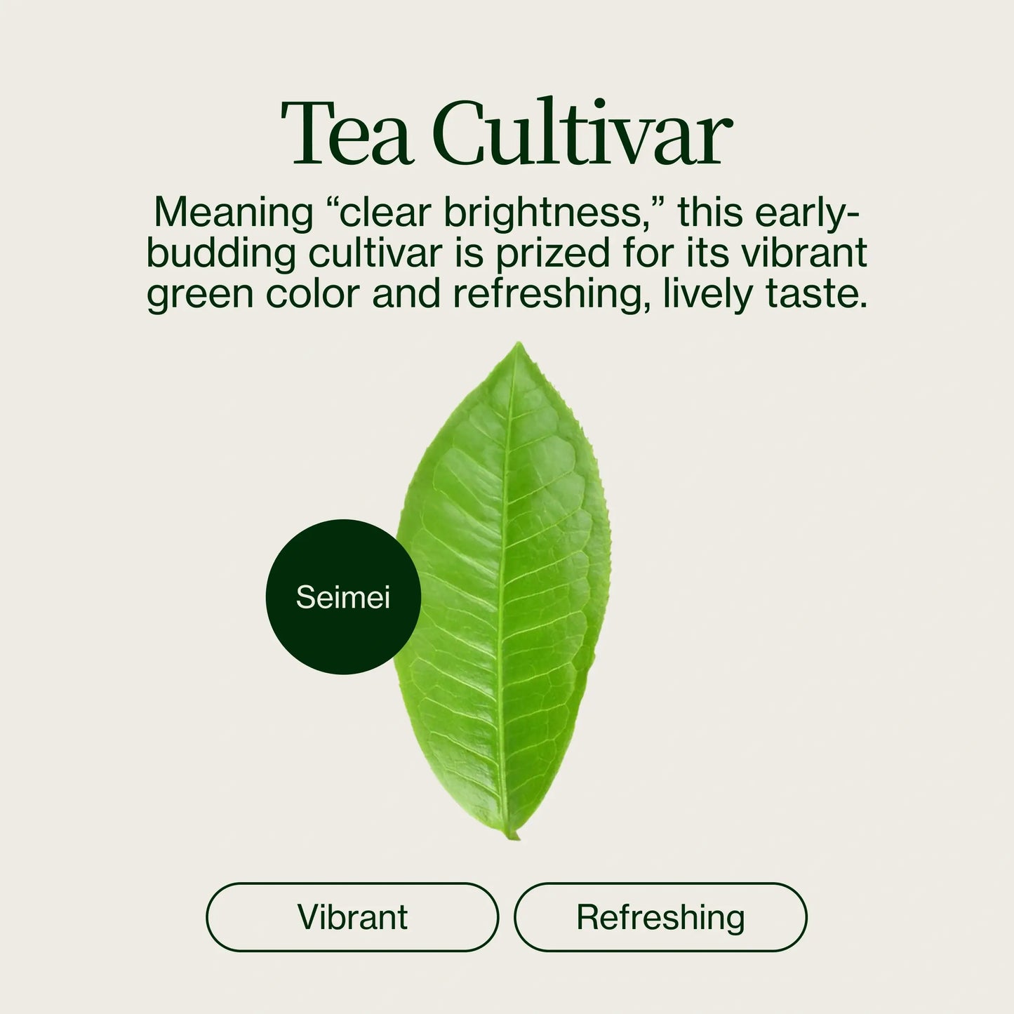 Gyokuro Kiwami Sakamoto