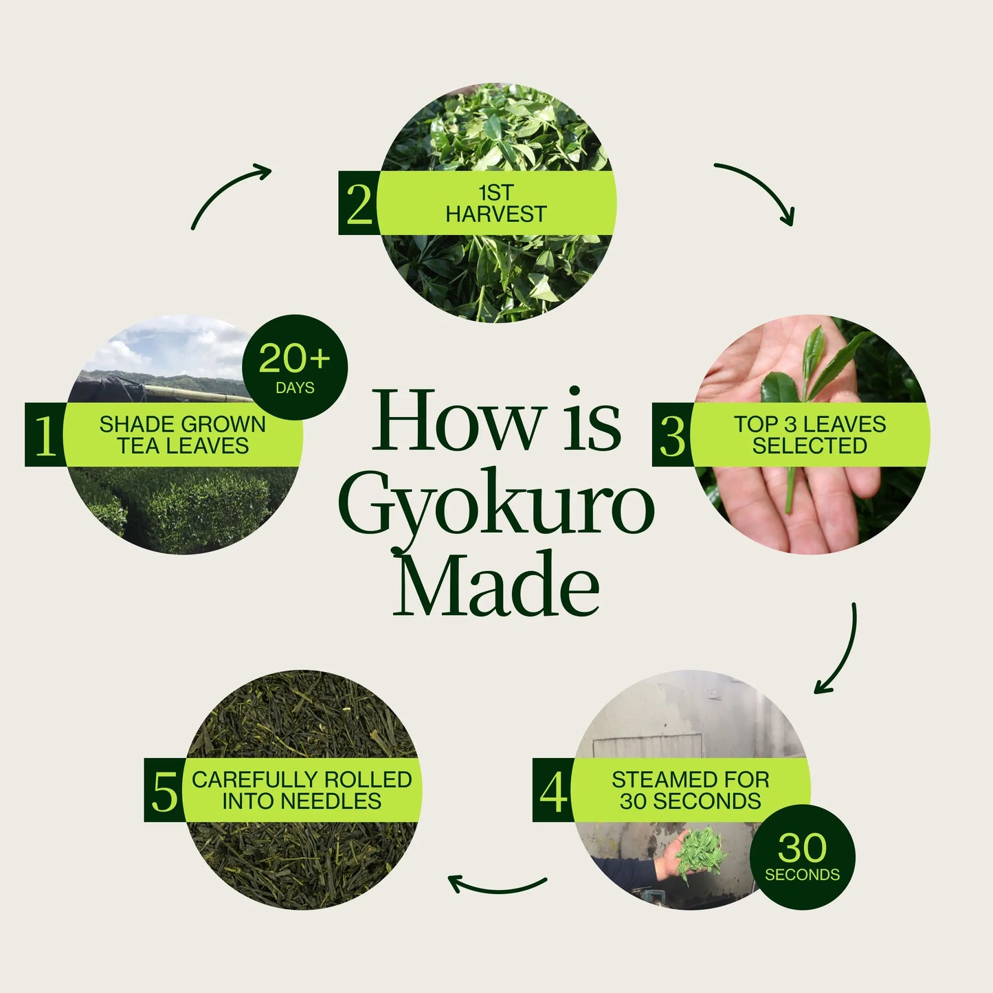 Gyokuro Kiwami Sakamoto