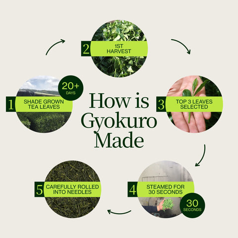 Gyokuro Sou Sakamoto