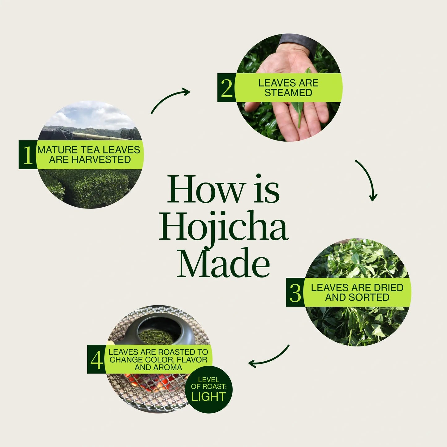 Hojicha Poudre