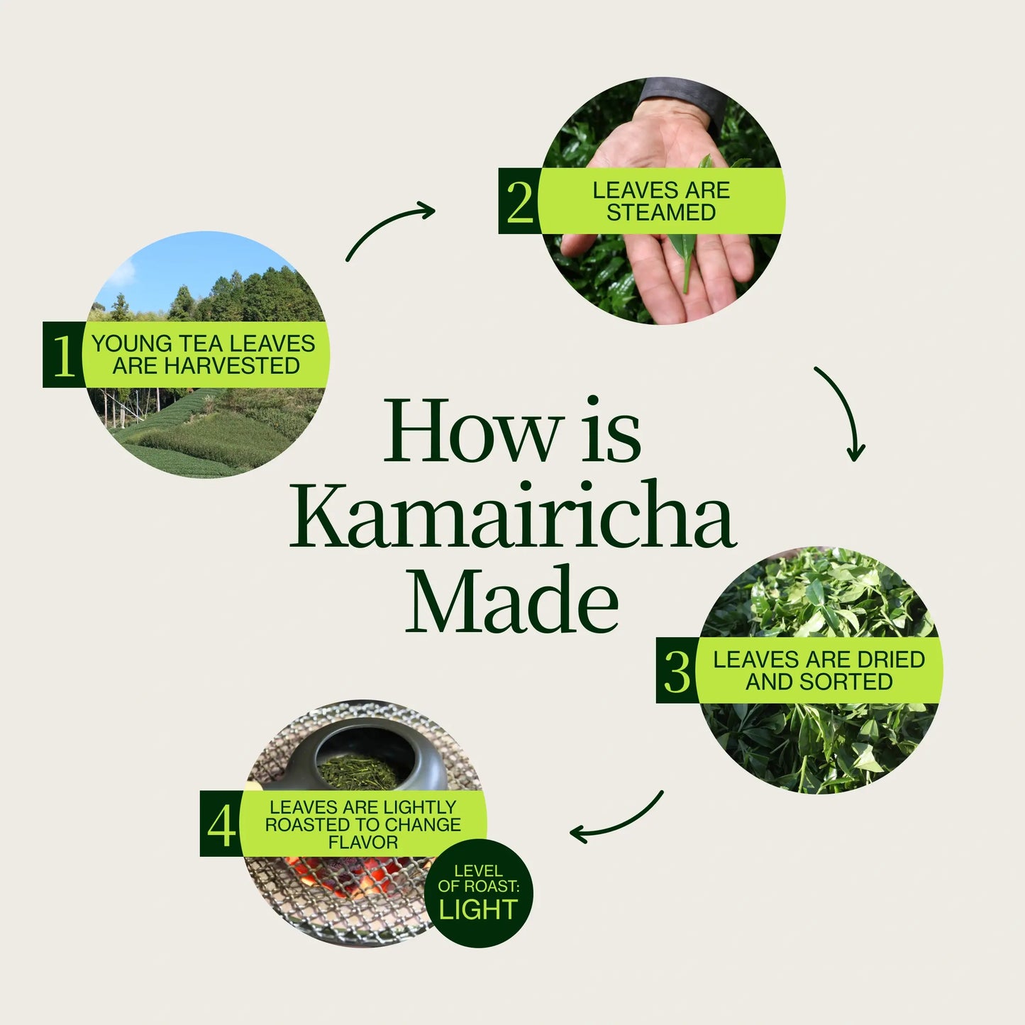 Thé vert en feuilles Chanoka Kamairicha