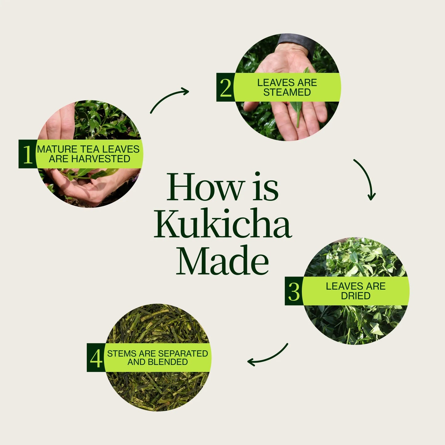 Chanoka Kukicha Groene Thee