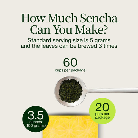 Gouden Sencha Yabukita Kasugaen