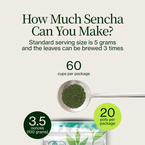 Sencha Shizuku met Matchapoeder
