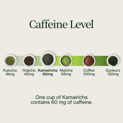 Chanoka Kamairicha Losse groene thee