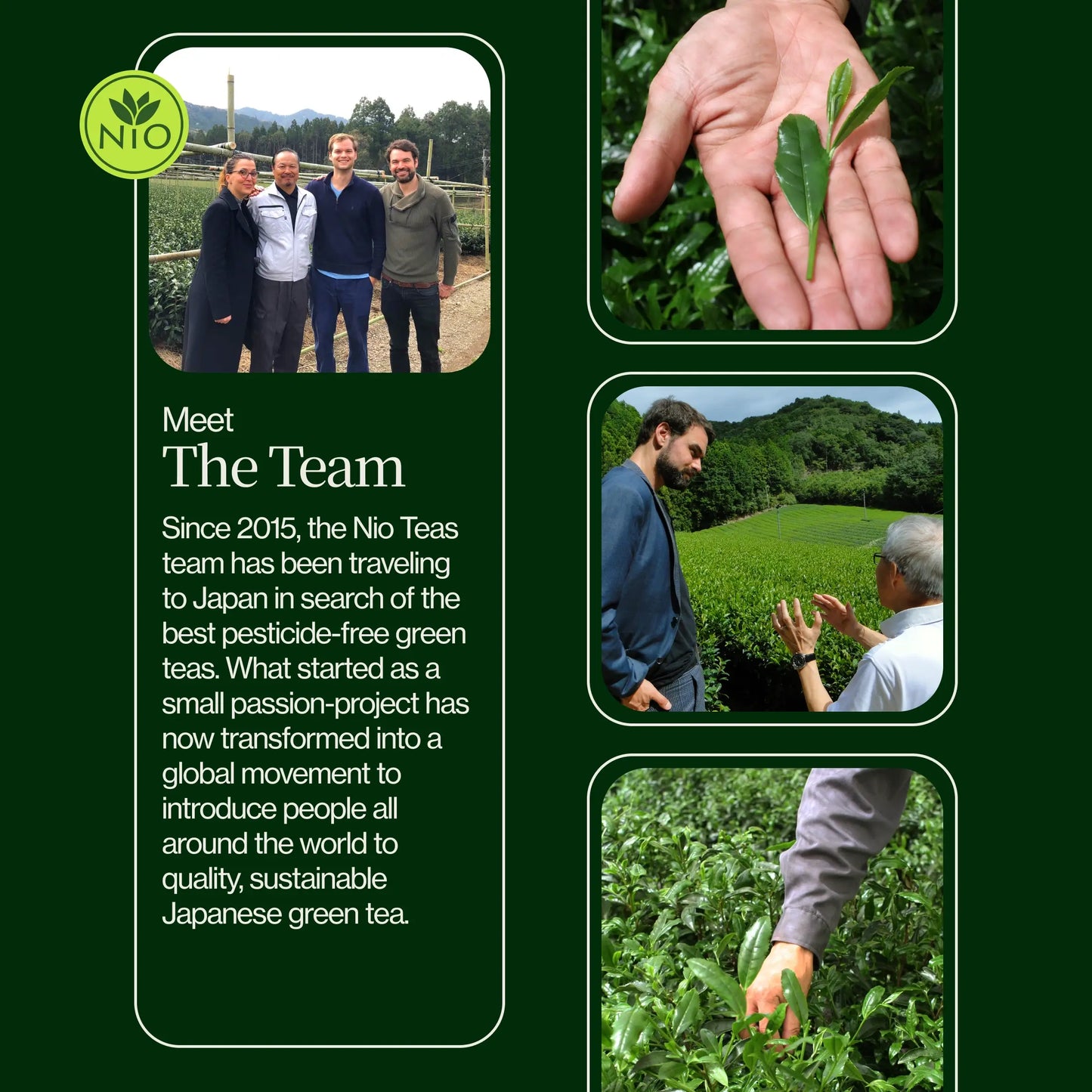 Thee Adventskalender 2025