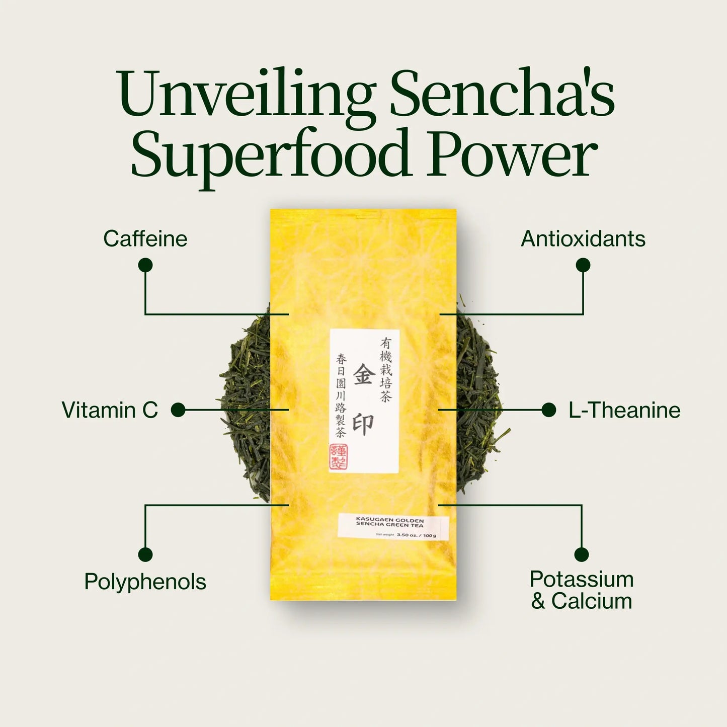 Gouden Sencha Yabukita Kasugaen