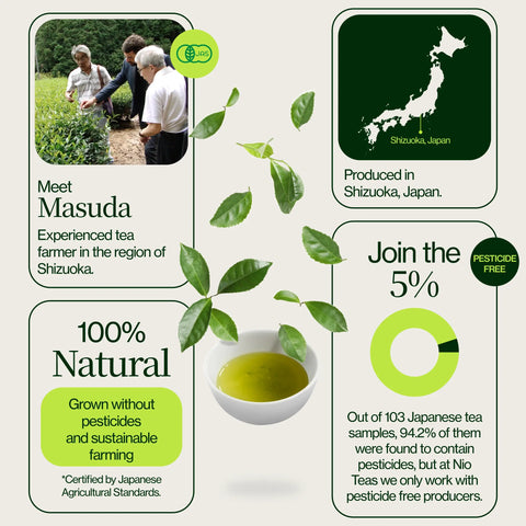 Masudaen Makinohara Groene Thee