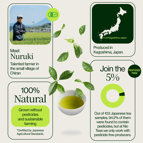 Sencha Shizuku met Matchapoeder