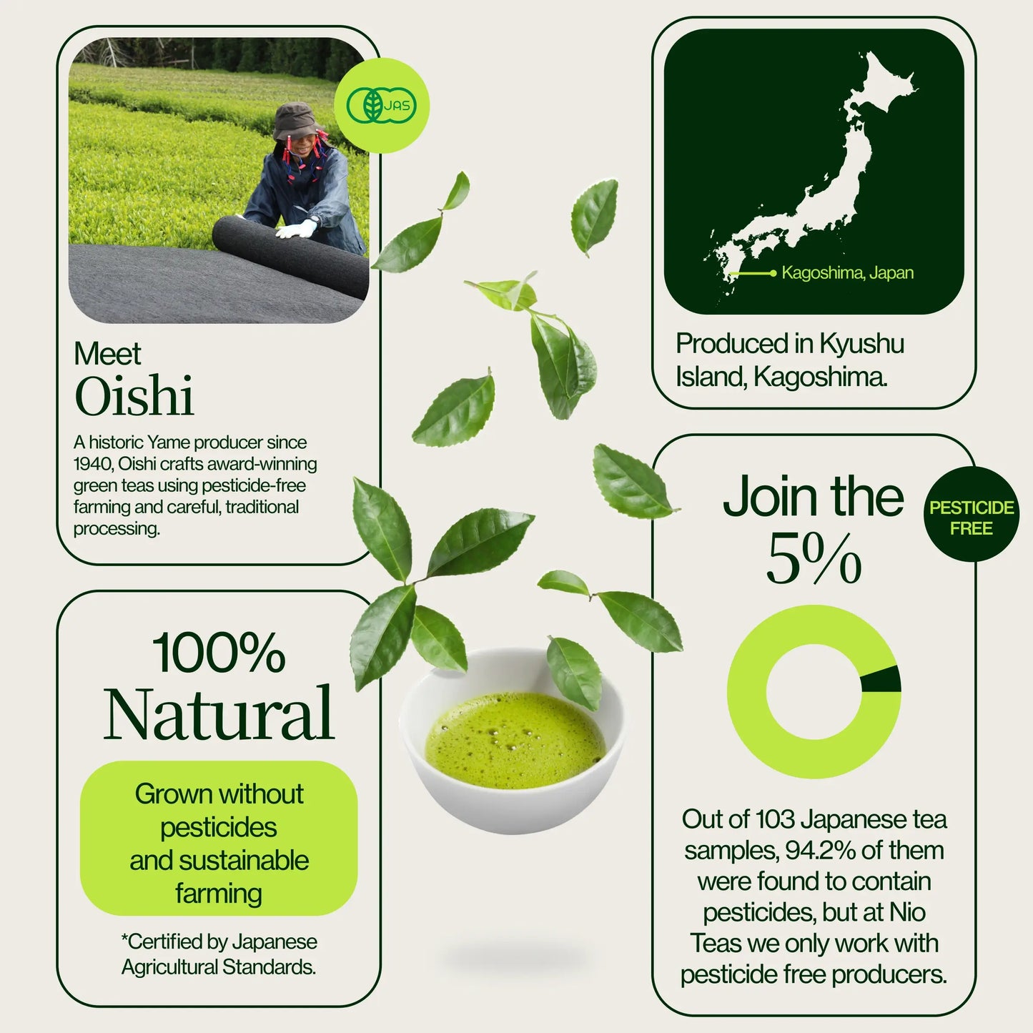 Matcha de cérémonie Oishi Saemidori