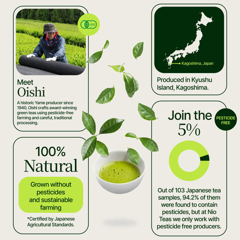Matcha de cérémonie Oishi Saemidori
