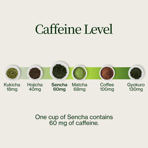 Sencha Shizuku met Matchapoeder