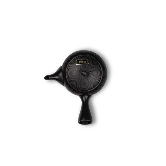 Tokoname Kyusu Fukamushi Theepot