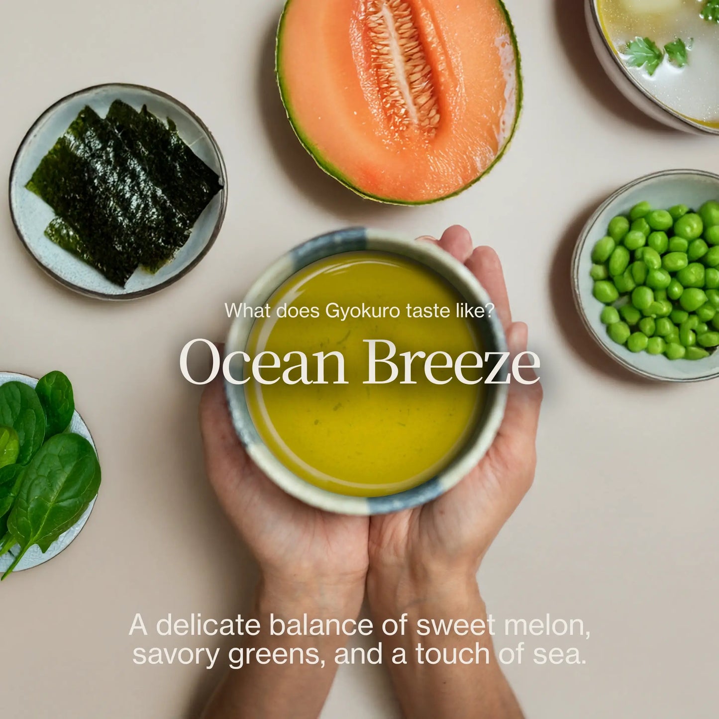 Gyokuro Kiwami Sakamoto