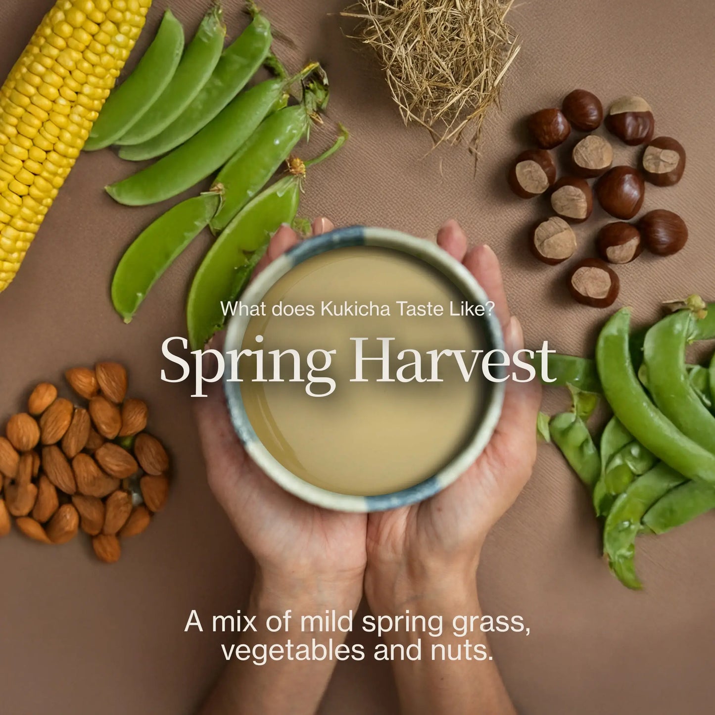 Chanoka Kukicha Groene Thee