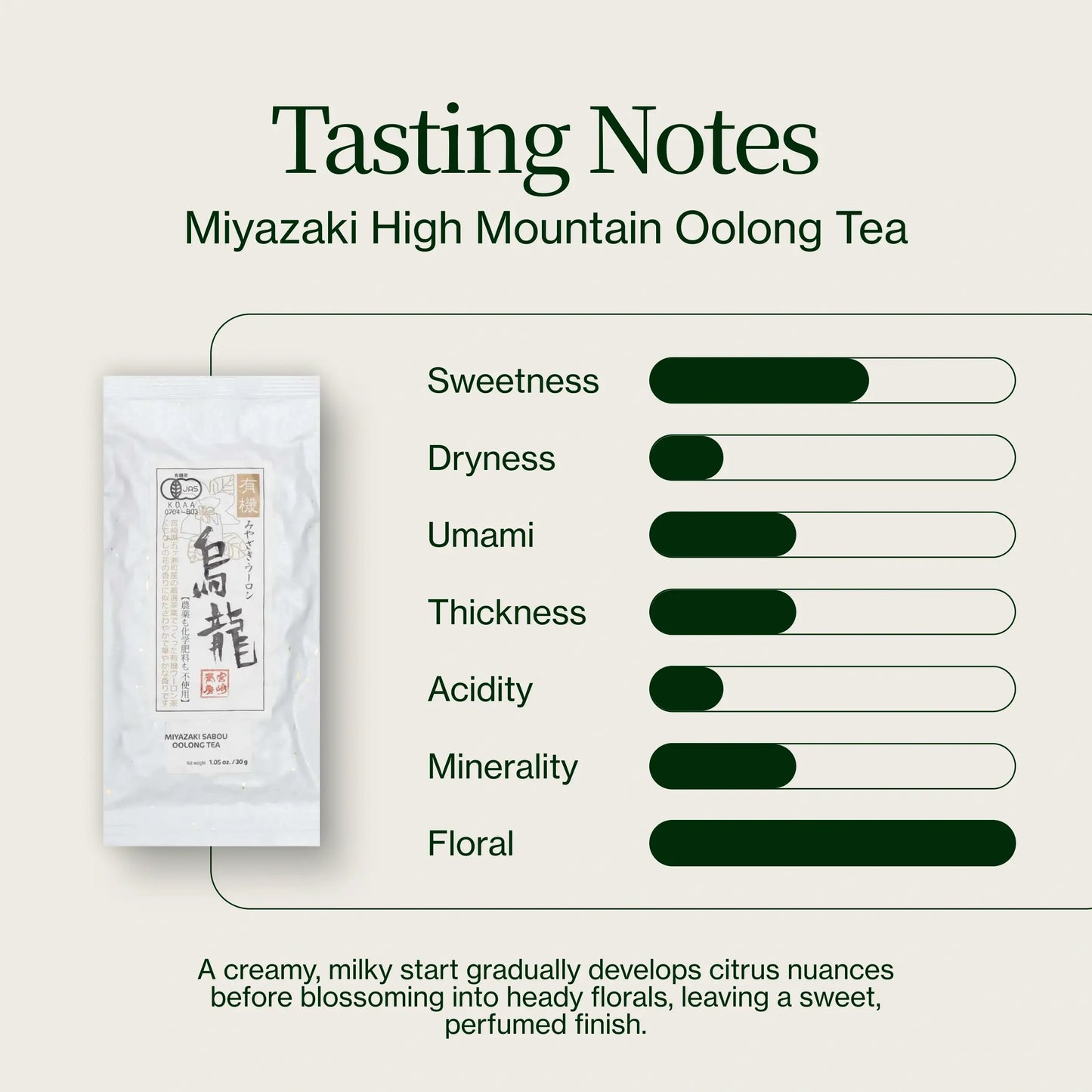 Miyazaki High Mountain Oolong-thee