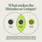 Sencha Shizuku met Matchapoeder